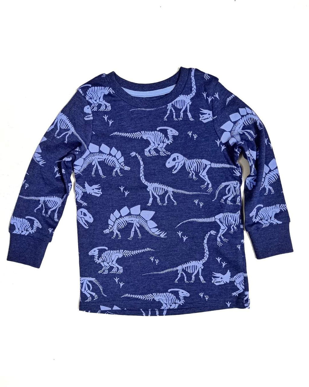 NEXT® Dino Long Sleeve T-Shirt 